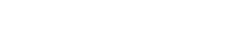 Delta Web Merrylands & Parramatta- Website Design Sydney